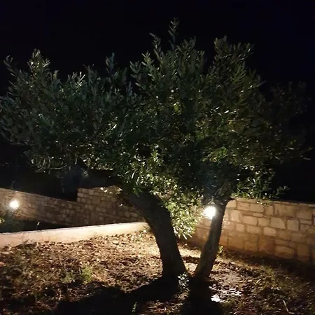 Senka * Nečujam