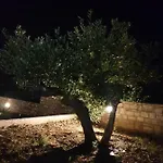 Senka * Nečujam